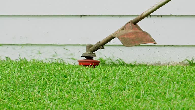 Best Lawn Drainage Solutions  in Sunrise Manor, NV